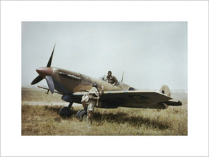 Supermarine Spitfire Mk V and pilots of No. 40 Squadron, South African Air Force, at Gabes in Tunisia, April 1943.
