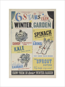 Six Stars From the Winter Garden - Grow Them in Your Winter Garden