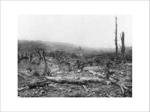 The remains of the village of Beaumont Hamel after its capture, The Battle of Ancre Heights 10 -11 November. 1916