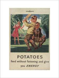 Potatoes - Feed Without Fattening and Give You Energy