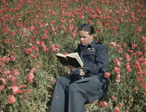 Wing Commander Guy Gibson VC, Commanding Officer of No. 617 Squadron (The Dambusters) at Scampton, 22 July 1943.