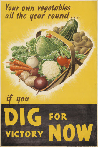 Your Own Vegetables All the Year Round - If You Dig For Victory Now