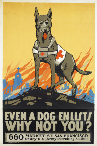 Even a Dog Enlists Why Not You?