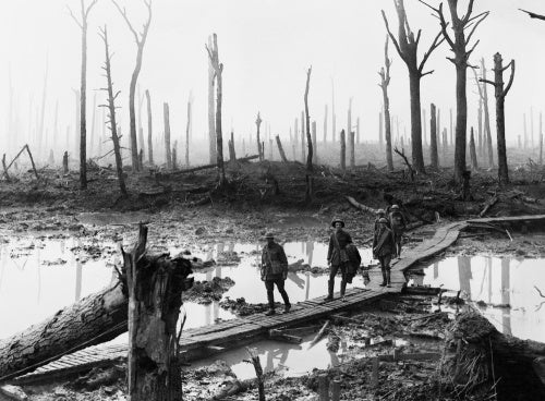 Australian troops walk along a duckboard track through the remains of Chateau Wood, Third Battle of Ypres (Passchendaele)
