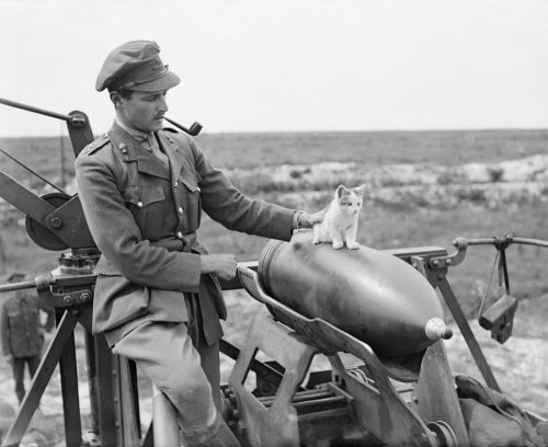 An officer of the 444th Siege Battery, Royal Garrison Artillery (RGA), smokes a pipe as he supervises a kitten balancing on a 12 inch gun shell near Arras, 19 July 1918.