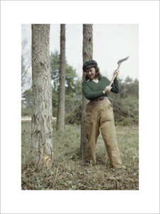 Jean Sheehan, a Land Army girl, chopping a tree.