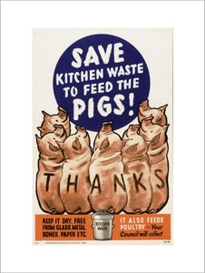 Save Kitchen Waste to Feed the Pigs!