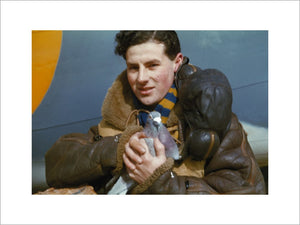 A member of the crew of an RAF Coastal Command Lockheed Hudson holding a carrier pigeon, 1942.