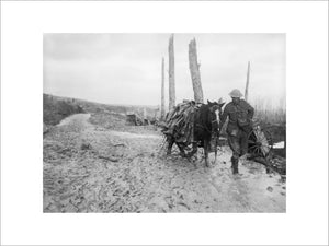 A pack horse loaded with rubber trench boots (waiders) is led through the mud near Beaumont Hamel on the Somme battlefield, November 1916.
