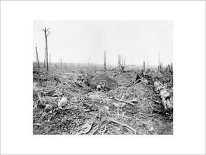 Battle of Bazentin Ridge, 14-17 July 1916. Soldiers digging a communication trench through Delville Wood.