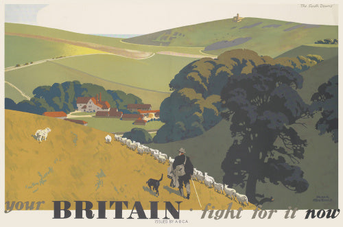 Your Britain - Fight for it Now [South Downs]