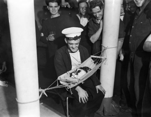 Sailors surround the ship's cat 