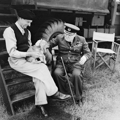Prime Minister Winston Churchill and General Sir Bernard Montgomery & his dog (named Rommel) in Normandy at Montgomery's caravan at his headquarters at Chateau Creully, 7 August 1944