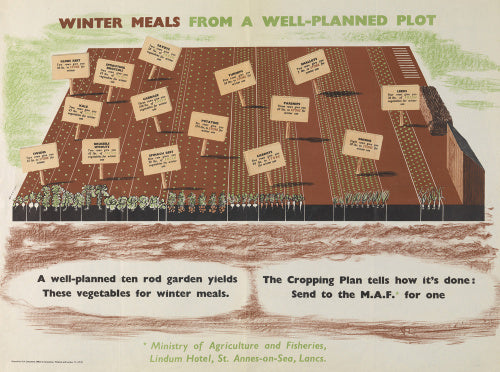 Winter Meals from a Well-planned Plot