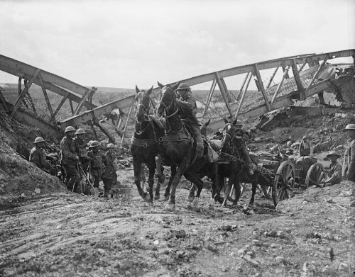 Horse team of the Royal Field Artillery pulling an 18 pounder field gun near Moeuvres, 27 September 1918.