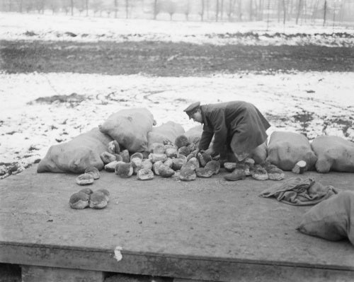 Portioning out the bread at a roadside dump. Albert, March 1917.