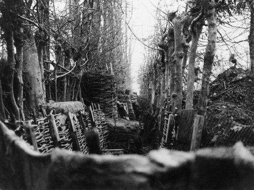 A well concealed and revetted trench, between two-lines of trees. Gommecourt, given up by the Germans in March 1917.