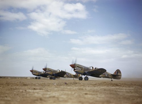 Three Curtiss Kittyhawk Mark IIIs of No 112 Squadron, Royal Air Force