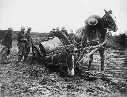 The Battle of Passchendaele, July-November 1917 - The Battle of Pickham Ridge